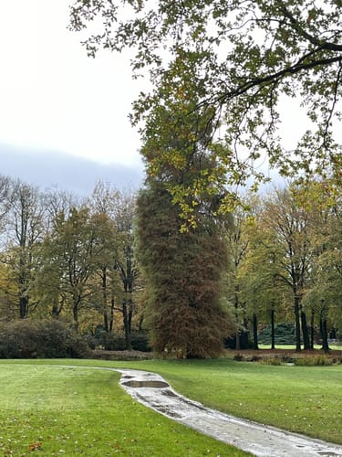 Im Schlosspark Lütetsburg
