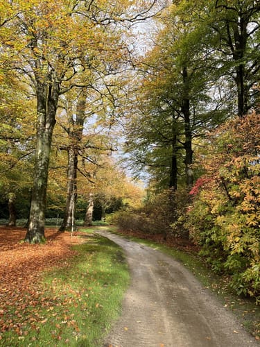 Im Schlosspark Lütetsburg