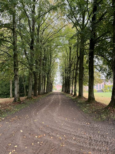 Im Schlosspark Lütetsburg
