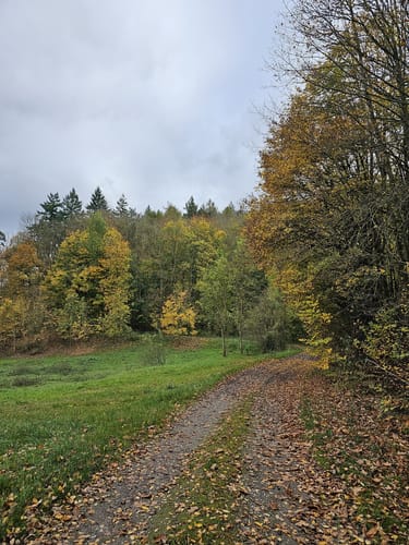 Großer Kanonenbahnlauf (15,4 km, 2022)