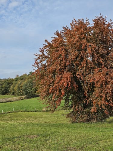 Rund um Fredesloh