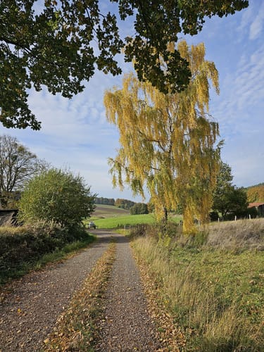 Rund um Fredesloh