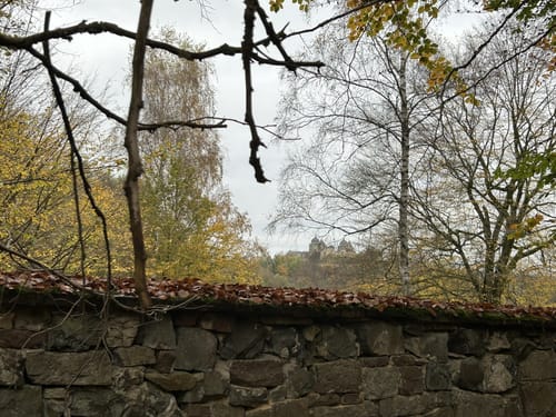 Sababurg Runde
