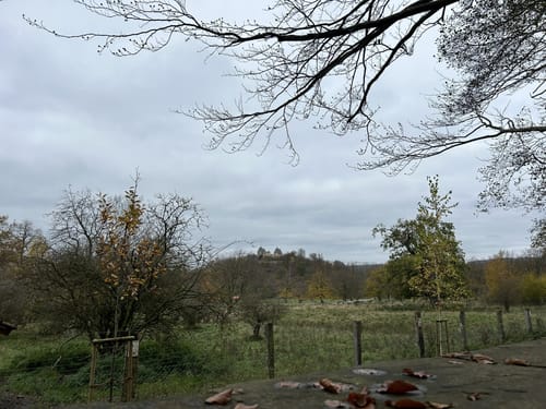 Sababurg Runde