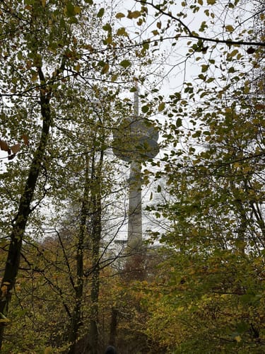 Petze-Griesberg