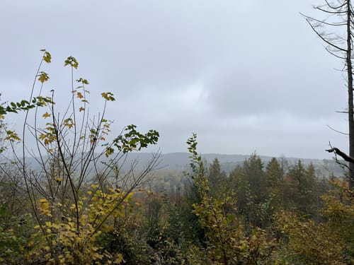 Petze-Griesberg