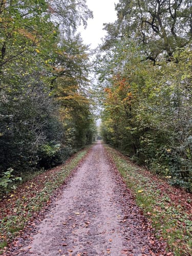 Löttringhausen Rundweg A4