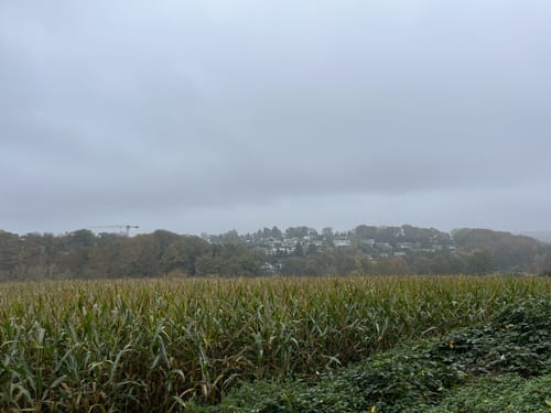 Löttringhausen Rundweg A4