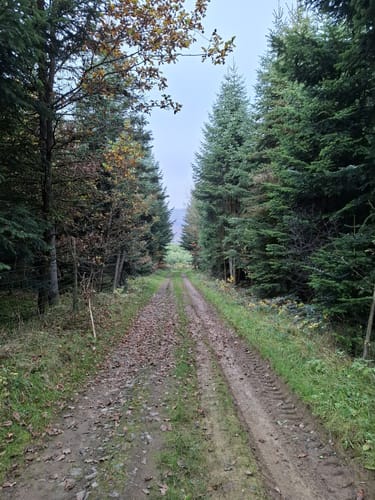 Wallender Born Rundweg