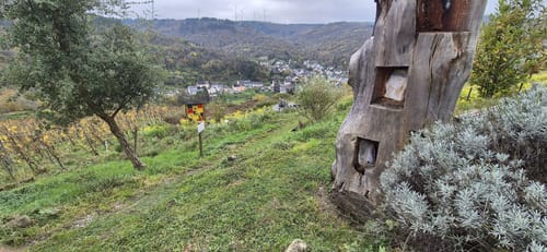 Stein & Wein Panorama-Erlebnisweg