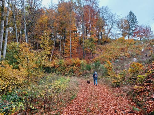 Bollerberg Rundweg
