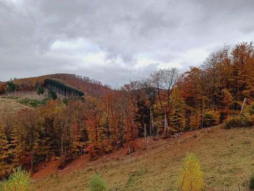 Bollerberg Rundweg