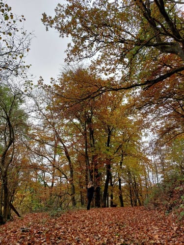 Bollerberg Rundweg