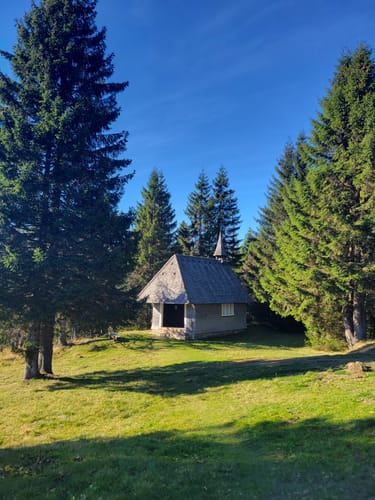 Immisberg und Feldberg Rundweg