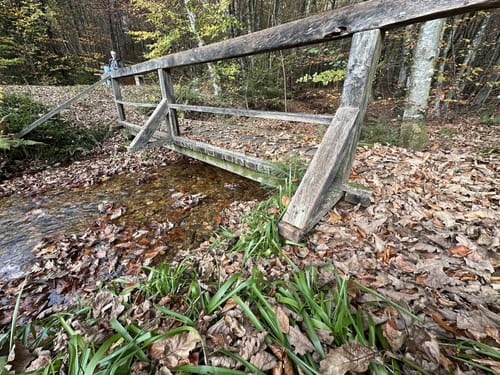 Keller Stausee und Osburger Wald