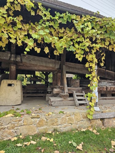 Weinbergsrunde ab Grunern