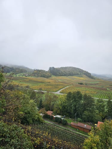Weinbergsrunde ab Grunern