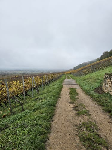 Weinbergsrunde ab Grunern