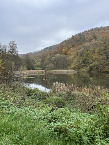 Entlang dem Großbach