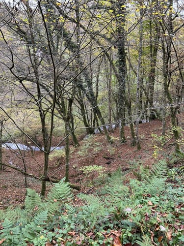 Entlang dem Großbach