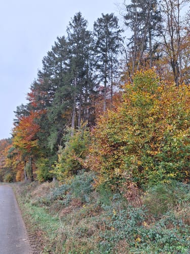 Eckfeld - Urpferdweg 51
