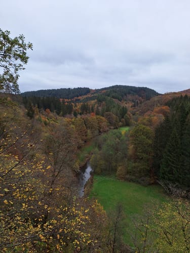 Eckfeld - Urpferdweg 51