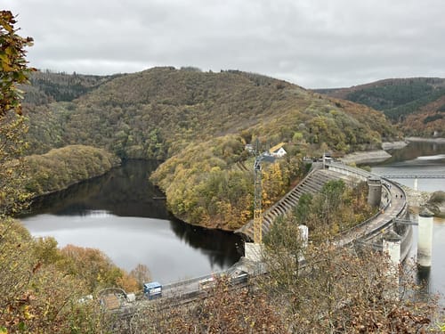Bird Watching Runde: Von Vogelsang über die Urftseebrücke