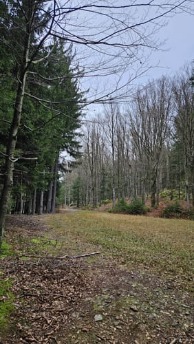Lixenrieder Felsenlabyrinth (Fu24)