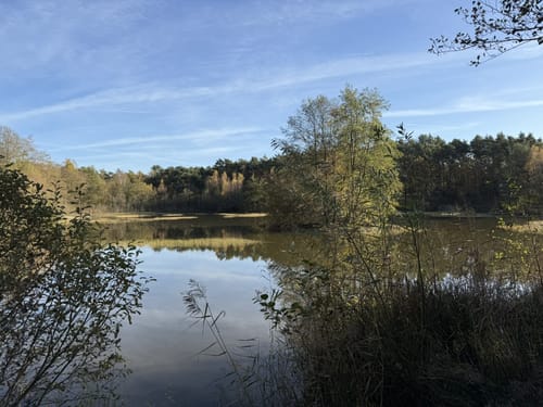 Über die Holmer Sandberge und entlang dem Feuerlöschteich