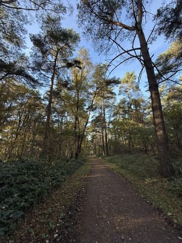 Über die Holmer Sandberge und entlang dem Feuerlöschteich