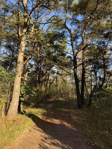 Über die Holmer Sandberge und entlang dem Feuerlöschteich