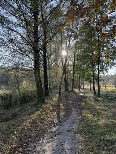 Über die Holmer Sandberge und entlang dem Feuerlöschteich