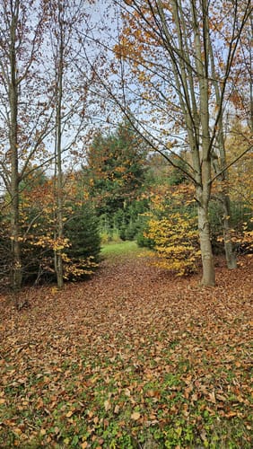 Lixenrieder Felsenlabyrinth (Fu24)