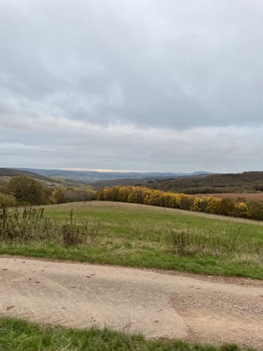 Fuchspfad in Kirschroth