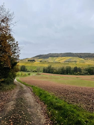 Fuchspfad in Kirschroth