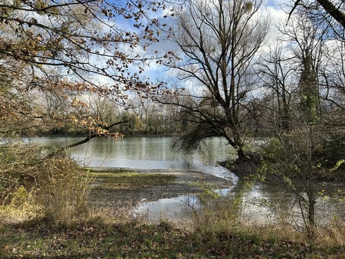 Englischer Garten