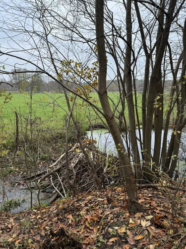 Düpower Heide Rundweg