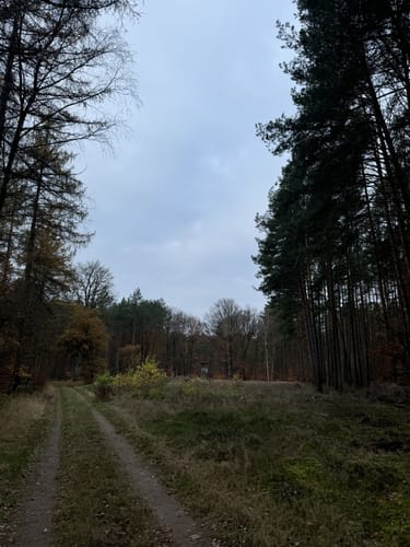 Düpower Heide Rundweg