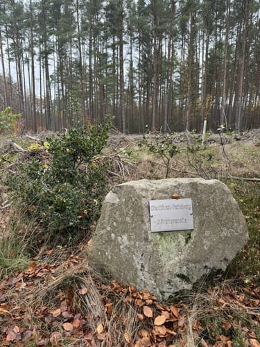Düpower Heide Rundweg