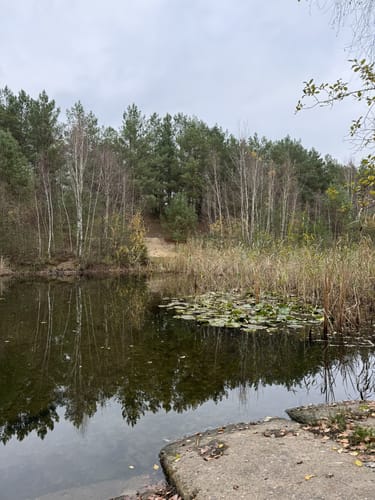 Düpower Heide Rundweg