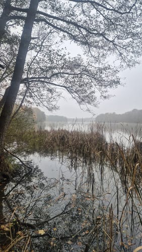 Kleine Aussichtsplattform Runde von Blankenfelde