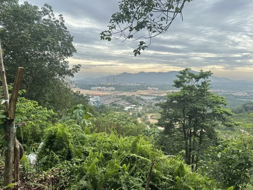 Cobra Hill, Nilai