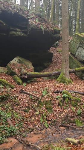 Am Odenbach zum Kesselblick