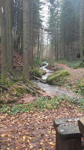 Am Odenbach zum Kesselblick