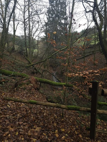 Am Odenbach zum Kesselblick
