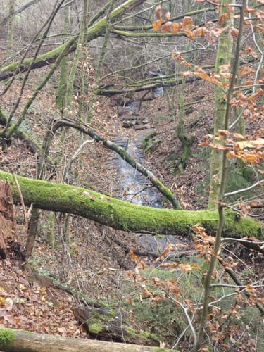 Am Odenbach zum Kesselblick