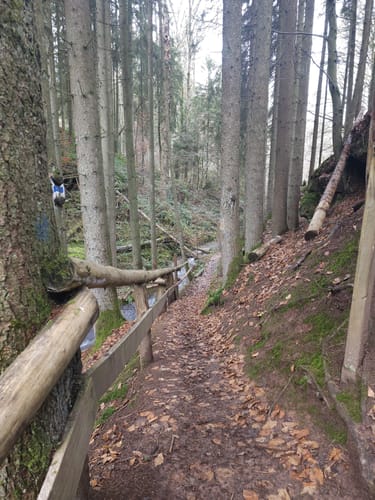 Am Odenbach zum Kesselblick