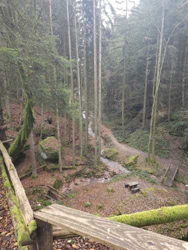 Am Odenbach zum Kesselblick