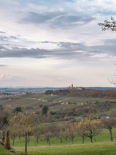 SU2 - Wandern zwischen Wein, Wald und Streuobstwiesen