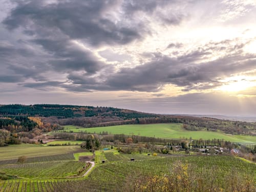 SU2 - Wandern zwischen Wein, Wald und Streuobstwiesen